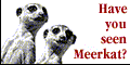 Have you seen Meerkat?